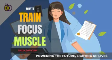Training Your Focus Muscle: Tips for Improving Concentration