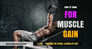 Effective Muscle Gain Training: Strategies for Strength and Size
