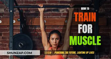 Building Muscle: Maximizing Training for Growth