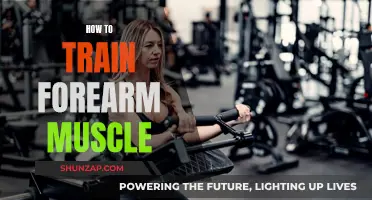 Training Forearm Muscles: Techniques for Strength and Definition