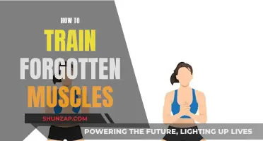 Training Forgotten Muscles: A Guide to Remembering Your Body's Strength