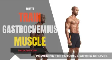 Training the Gastrocnemius: Targeted Exercises for Strong Calves
