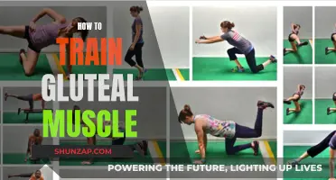 Gluteal Muscle Training: Effective Strategies for Optimal Results