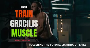 Training the Gracilis Muscle: A Comprehensive Guide