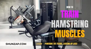 Training Your Hamstrings: A Comprehensive Guide