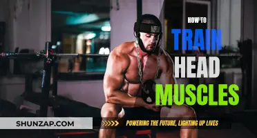 Training Your Head Muscles: A Guide to Neck Fitness