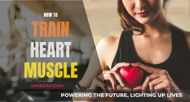Training Heart Muscle: Exercises for Cardiac Health