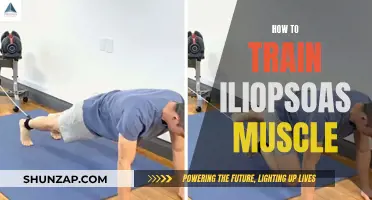 Training the Iliopsoas Muscle: Techniques for Strength and Flexibility