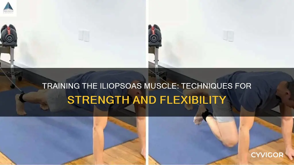 how to train iliopsoas muscle