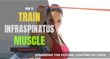 Training the Infraspinatus: A Guide to Shoulder Health