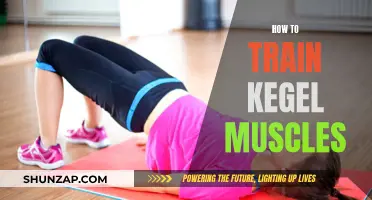 Kegel Muscle Training: Strengthen Your Pelvic Floor