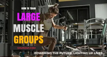 Effective Strategies for Training Large Muscle Groups: Maximize Strength and Size