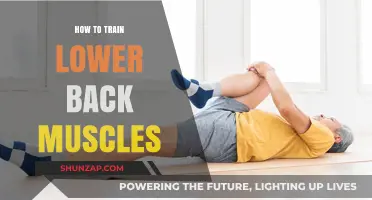 Strengthen Your Lower Back: A Comprehensive Guide to Muscle Training