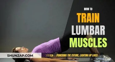Training Your Lumbar Muscles: Tips for a Strong Core