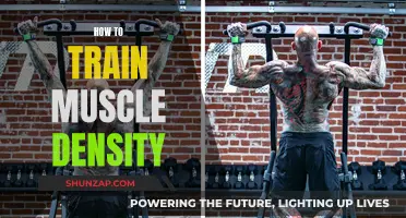 Building Muscle Density: Strategies for Strength and Definition