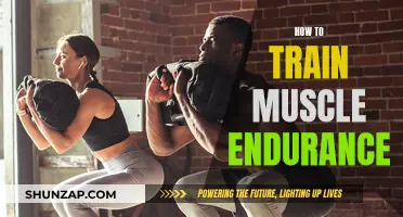 Build Muscle Endurance: Strategies for Strength and Stamina