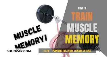 Training Muscle Memory: Techniques for Optimal Performance