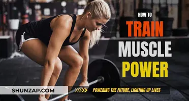 Training Muscle Power: Maximizing Your Physical Potential