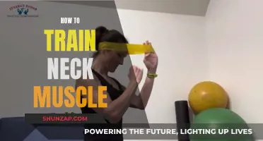 Training the Neck Muscle: Techniques for Strength and Stability