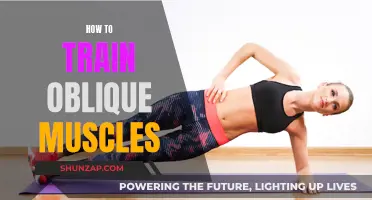 Training Oblique Muscles: Targeted Exercises for a Stronger Core