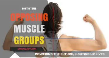 Effective Strategies for Balancing Opposing Muscle Groups in Training