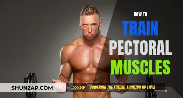 Training Pectoral Muscles: Effective Strategies for Maximum Results