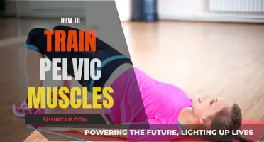 Pelvic Floor Training: Strengthen Your Core Muscles