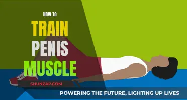 Mastering Penis Muscle Training for Better Performance