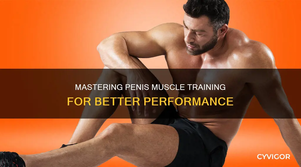 how to train penis muscle
