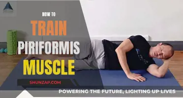 Training the Piriformis Muscle: Techniques for Optimal Performance