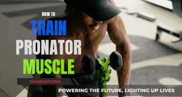 Training the Pronator Muscle: Techniques for Strength and Power