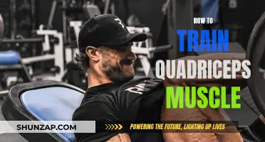 Training the Quadriceps: Building Strong Legs with Focused Workouts