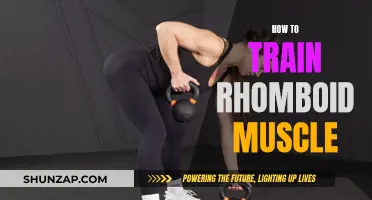 Training the Rhomboid Muscle: A Comprehensive Guide