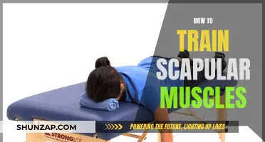 Training Your Scapular Muscles: A Comprehensive Guide