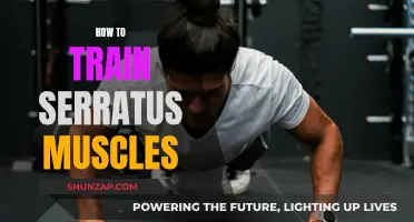 Training the Serratus: A Guide to Building a Powerful Physique