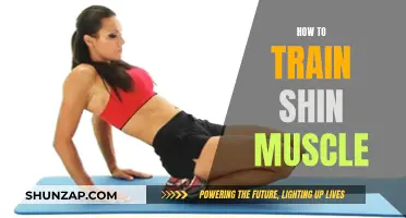 Develop Strong Shin Muscles: Training Techniques and Tips