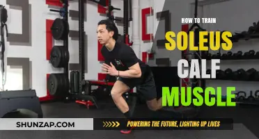 Unlocking Calf Strength: A Guide to Soleus Muscle Training