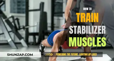 Training the Stabilizer Muscles: A Guide to Functional Strength