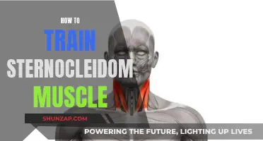 Sternocleidomastoid Muscle Training: Simple and Effective Strategies