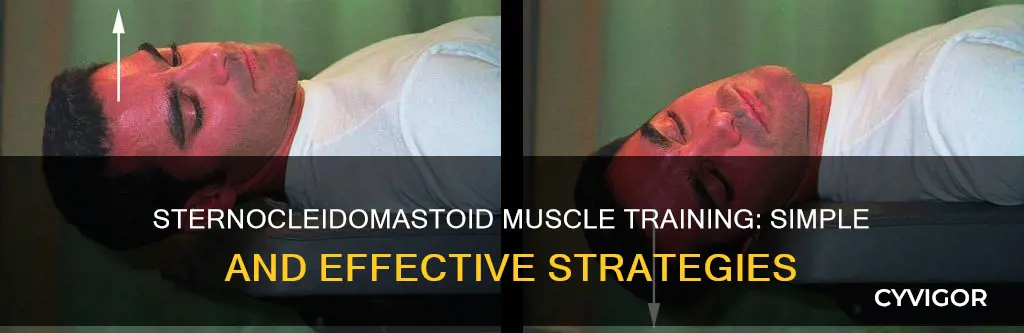 how to train sternocleidomastoid muscle