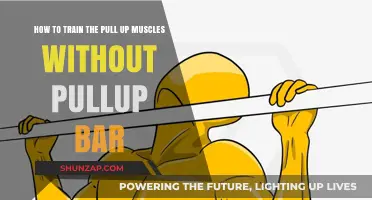 Build Pull-Up Strength: Effective Exercises Without a Bar