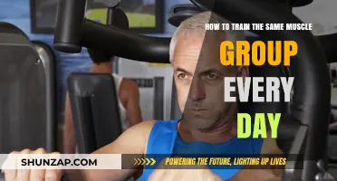 Daily Muscle Training: Effective Strategies for Consistent Group Workouts