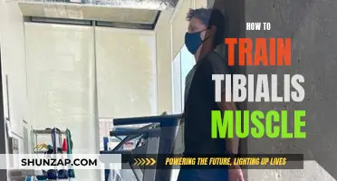 Training the Tibialis: A Comprehensive Guide to Strong Ankles