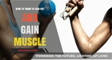 Effective Training Strategies to Burn Fat and Build Muscle Fast