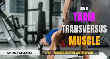 Training Your Transversus: Simple Strategies for Core Strength