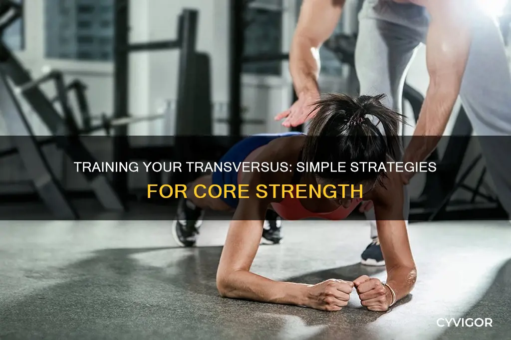 how to train transversus muscle