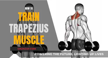 Trapezius Muscle Training: Effective Strategies for Growth and Strength