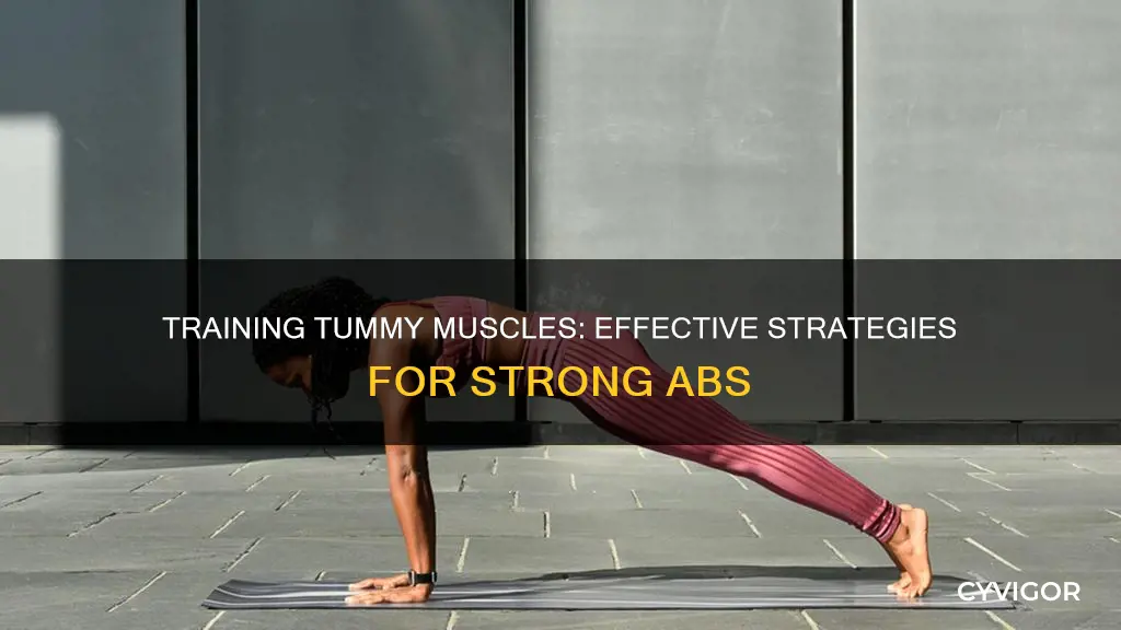 how to train tummy muscle