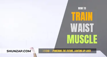 Training Your Waist: Core Muscle Workout Tips