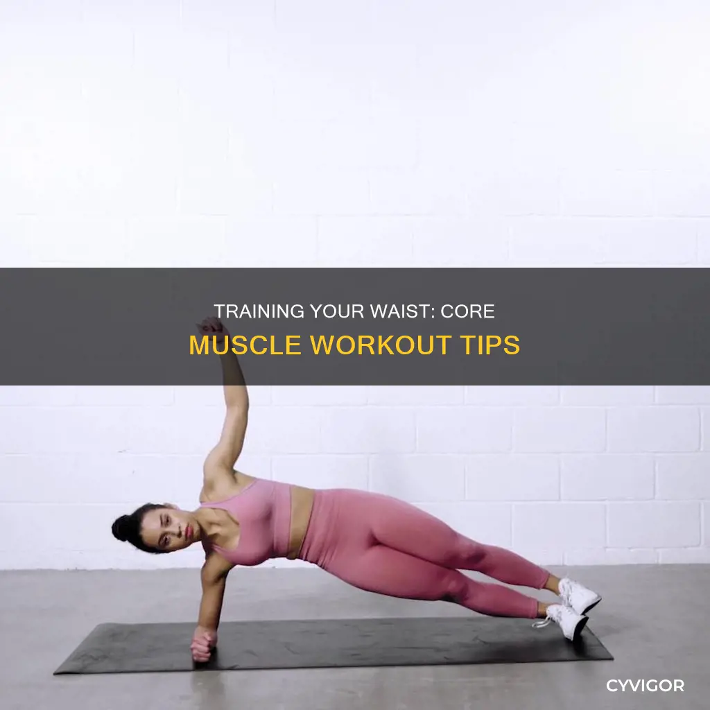 how to train waist muscle